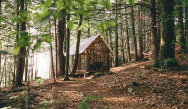 All It Took Was $3,000 and a Bit of Imagination to Bring This See-Through Vermont Cabin to Life