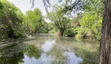 Proposed wastewater treatment plant could make San Antonio’s water undrinkable, scientist says