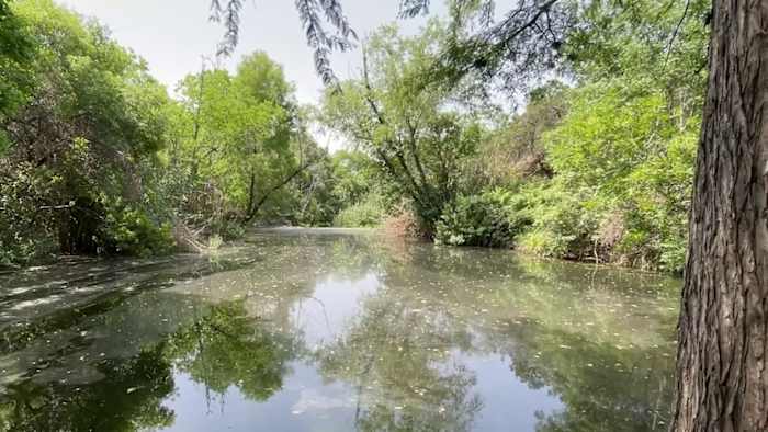 Proposed wastewater treatment plant could make San Antonio’s water undrinkable, scientist says