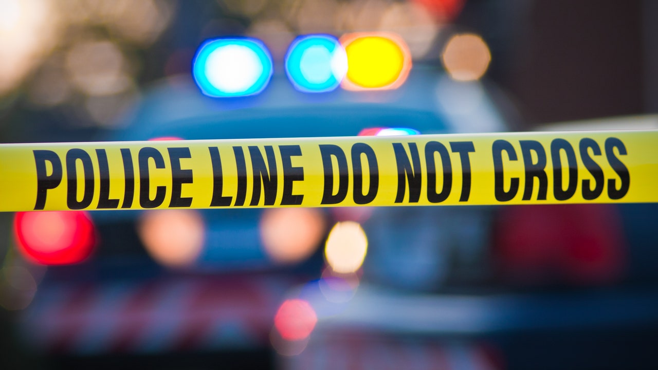 12 arrested after Gaza protestors breach Dallas building: Police