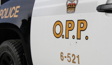 Hwy. 401 collision: driver dead