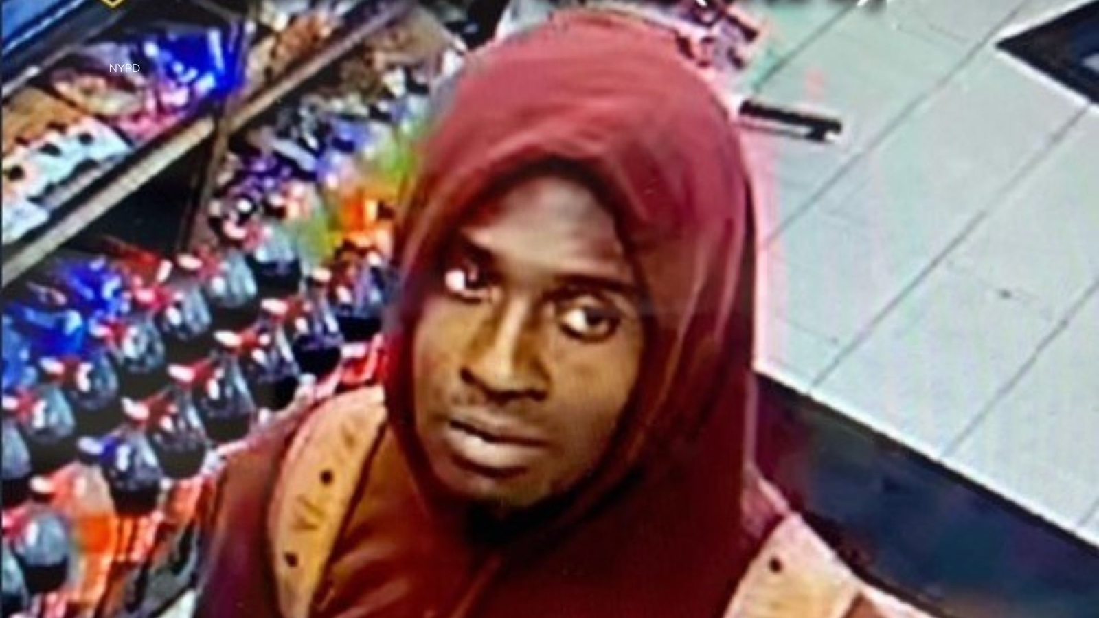 NYPD search for man who allegedy set dog on fire in Queens