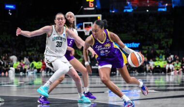 Liberty's Breanna Stewart exits vs. Sparks with lower leg injury