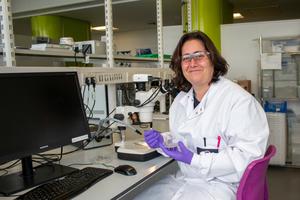 New project to develop methods to fast-track crop improvement