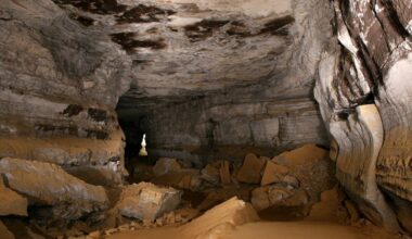 Ancient shark species identified in Mammoth Cave National Park