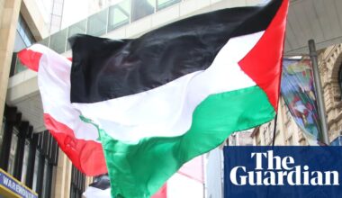 Minns government rejects pro-Palestine protest march across Sydney Harbour Bridge over timing and ‘chaos’ fears | New South Wales