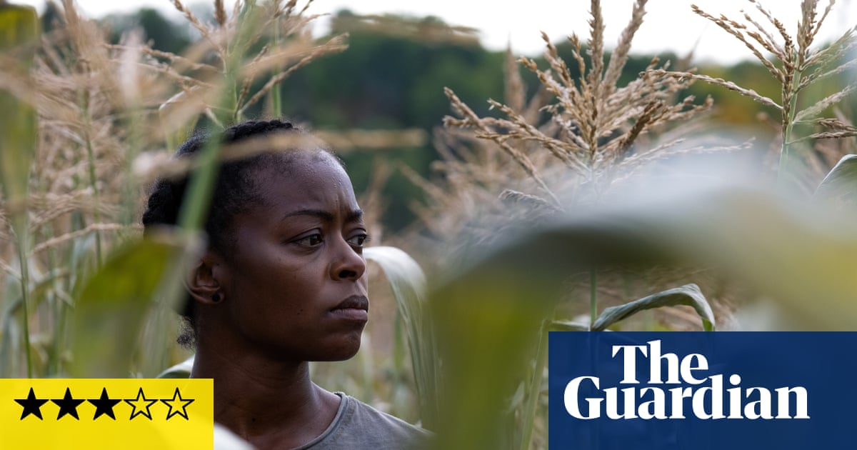 40 Acres review – Danielle Deadwyler is driving heart of post-apocalyptic home-invasion horror | Movies