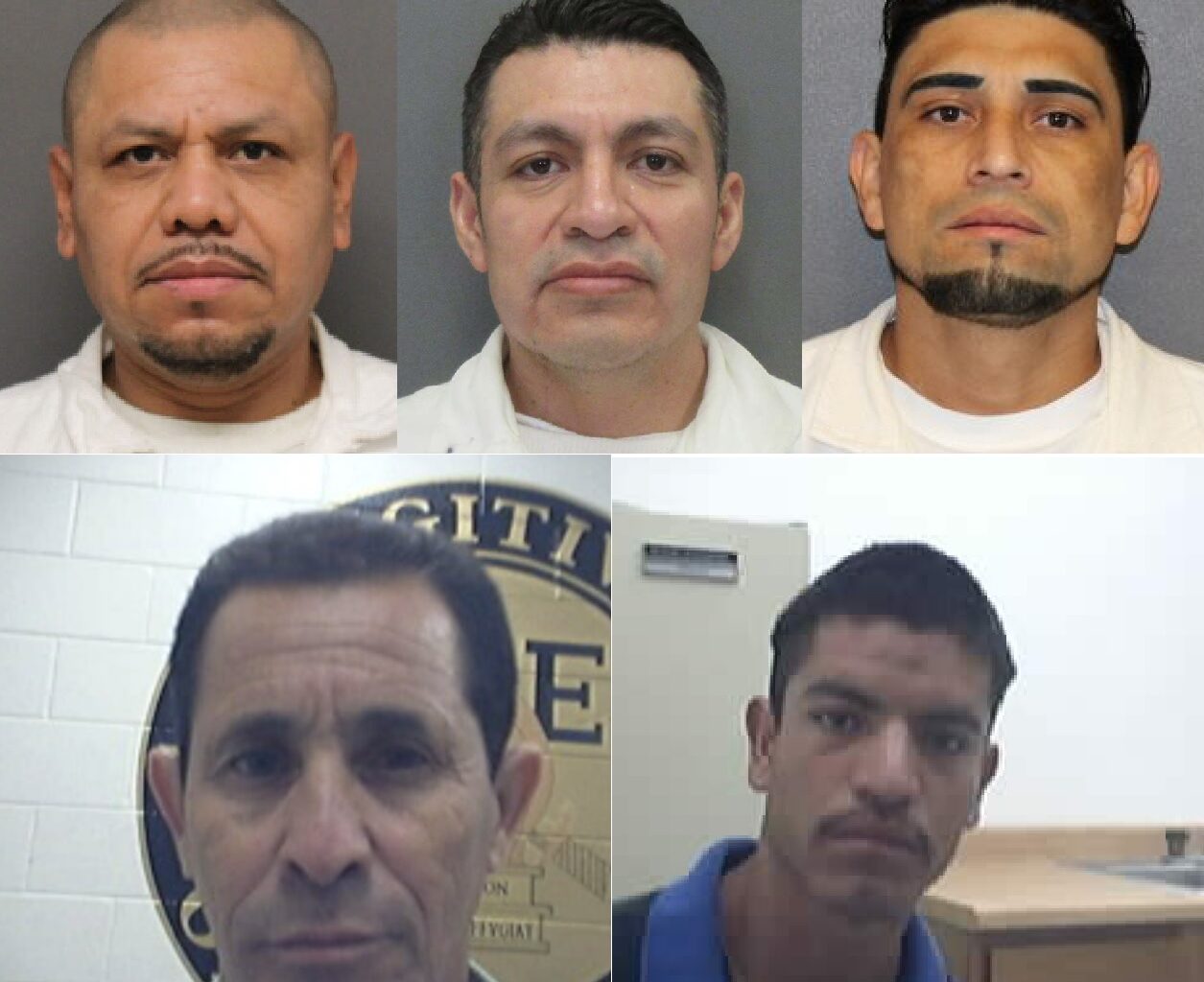 ICE arrests more than 200 illegal alien child sex offenders in Houston over past 6 months