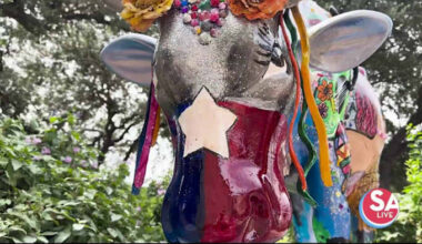 Win exclusive prizes from citywide CowParade scavenger hunt