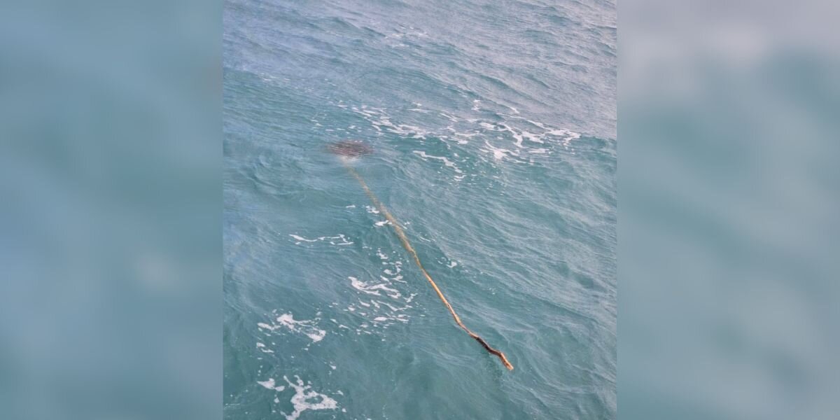 Kite Surfer Notices Stick In The Waves — Then Realizes Someone’s Stuck On The End