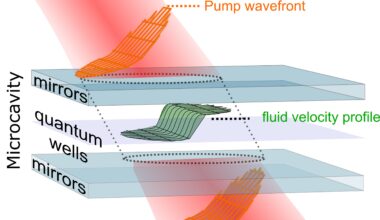Simulating the Hawking effect and other quantum field theory predictions with polariton fluids