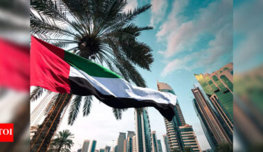 UAE’s 2025 hiring forecast just changed the game for students eyeing international careers