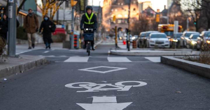 Ford government to appeal court ruling which deemed bike lane removal unconstitutional