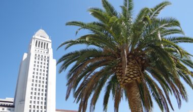 Los Angeles City Council bans use of N-word, C-word in meetings