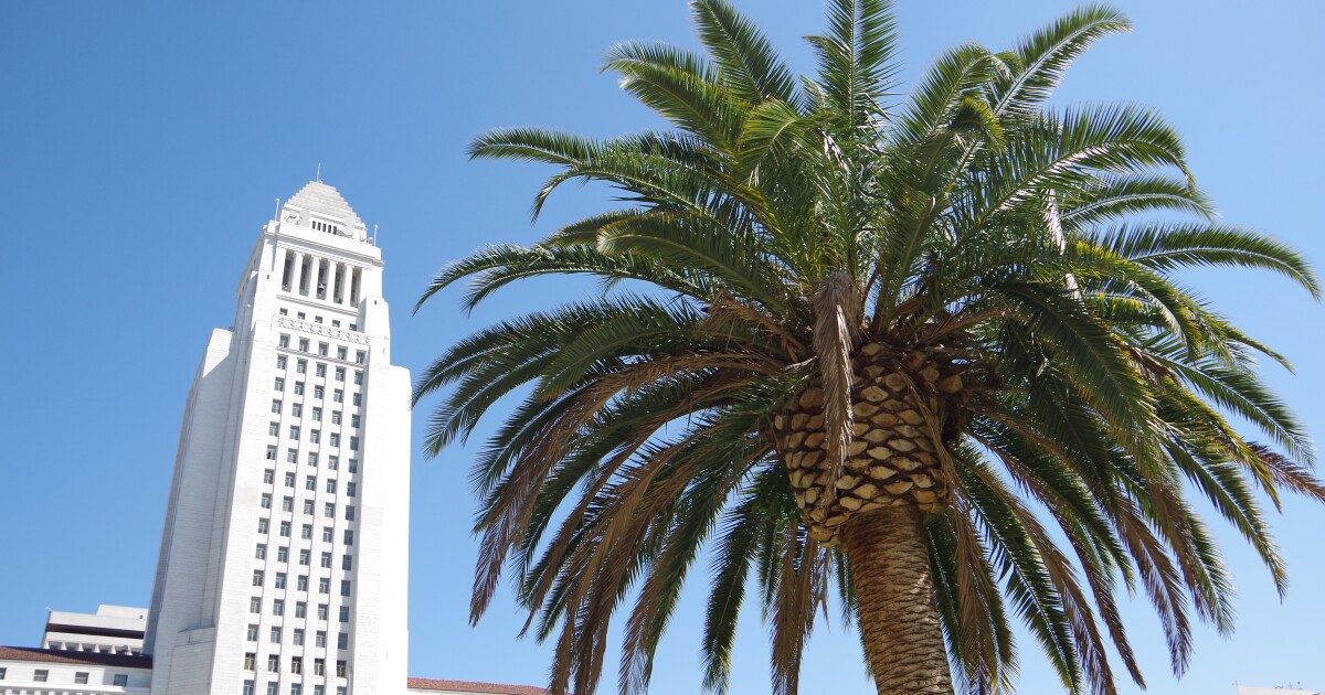 Los Angeles City Council bans use of N-word, C-word in meetings