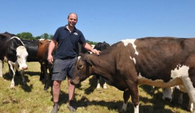 West Wales dairy farmer breeds his way to better business