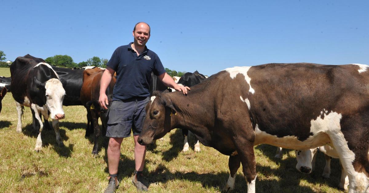 West Wales dairy farmer breeds his way to better business