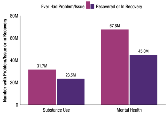 Figure 14. This vertical clustered bar graph has a value axis ranging from 0 to 80 million and a horizontal axis showing labels for substance use and menta health. Each cluster includes a first bar representing Ever Had a Problem/Issue and a second bar representing Recovered or in Recovery. For substance use, the number for ever had a problem/issue is 31.7 million and the number for recovered or in recovery is 23.5 million. For mental health, the number for ever had a problem/issue is 67.8 million and the number for recovered or in recovery is 45.0 million. 