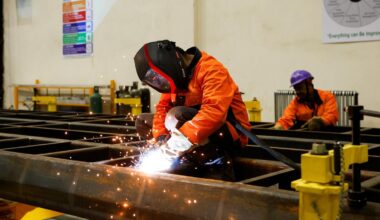What are the pros and cons of the Employment-Linked Incentive scheme? | Explained