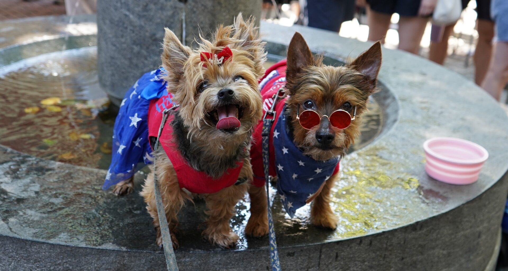 Betsy Ross House hosts third-ever Patriotic Pet Parade on July 4