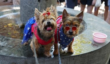 Betsy Ross House hosts third-ever Patriotic Pet Parade on July 4
