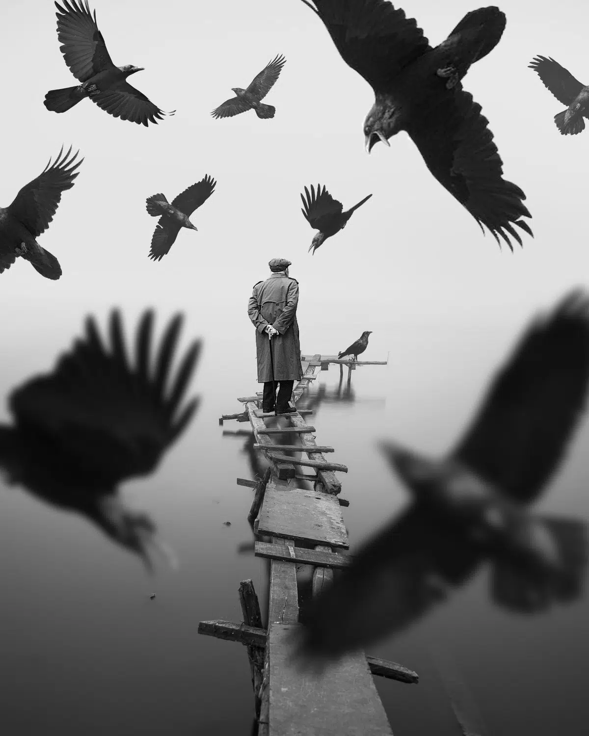 Man on a pier with birds flying