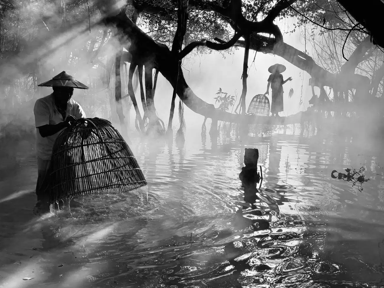Fishermen skillfully working the serene waters of Inle Lake, surrounded by lush mangroves, their traditional techniques blending harmoniously with the tranquil landscape.