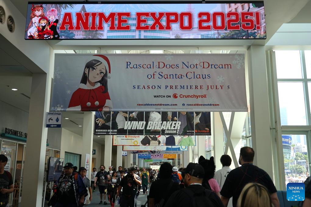 Anime Expo 2025 celebrates Japanese pop culture in Los Angeles-Xinhua