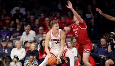 In Tobe Awaka and a healthy Motiejus Krivas, Arizona Wildcats men’s basketball has the ingredients for a potent frontcourt duo