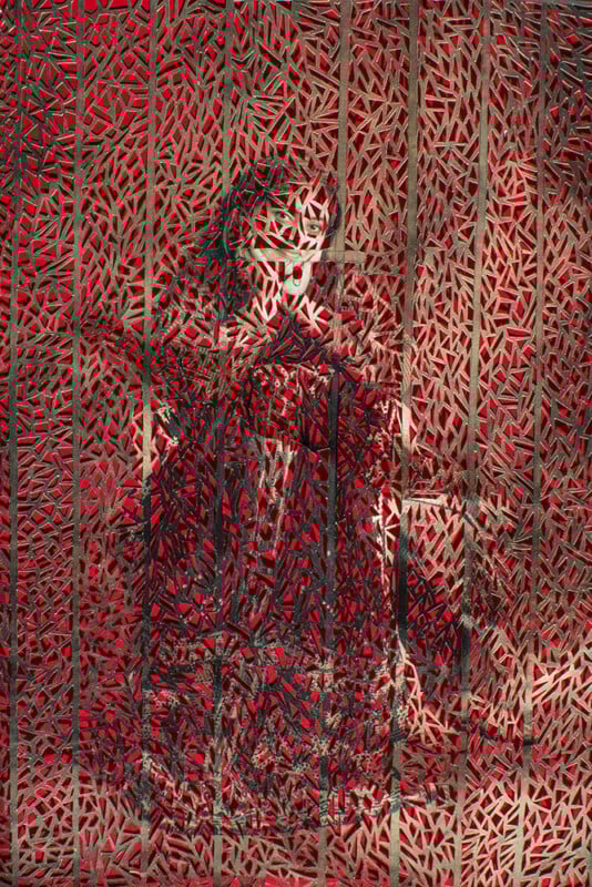 An abstract image featuring a portrait obscured by gold, leaf-shaped cutouts over a vivid red background, creating a textured and layered visual effect. The underlying figure is partially visible through the intricate pattern.