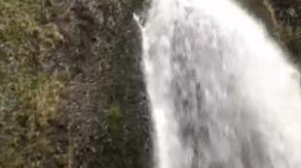 A rattlesnake was not spotted at Wahkeena Falls
