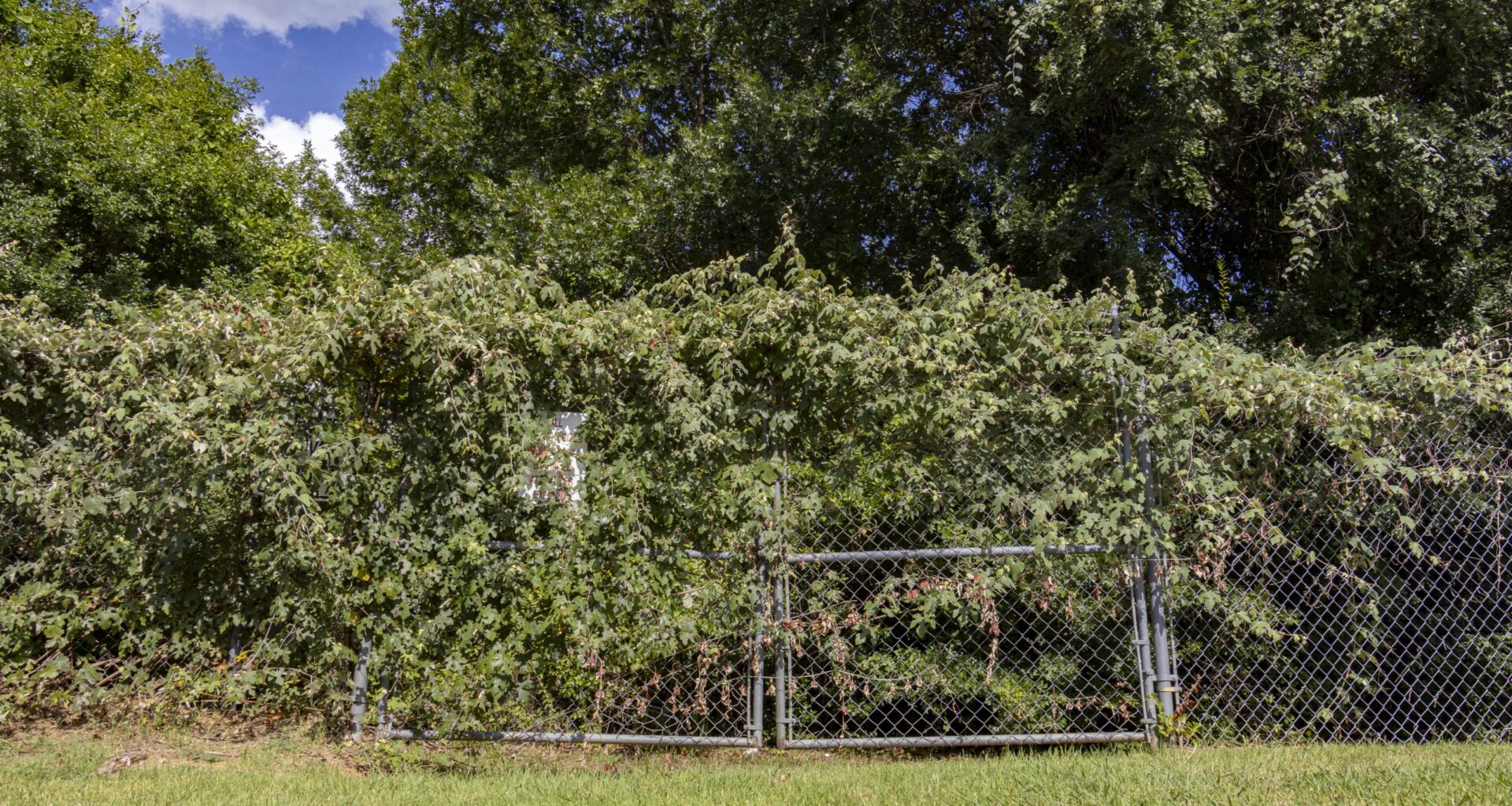 Arlington plans to buy 24 acres from AISD for $1.6M. The land will help curb flooding risk