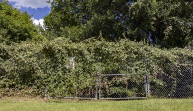 Arlington plans to buy 24 acres from AISD for $1.6M. The land will help curb flooding risk