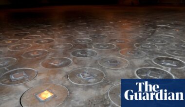 Radioactive wasps discovered at nuclear waste storage site in South Carolina | South Carolina