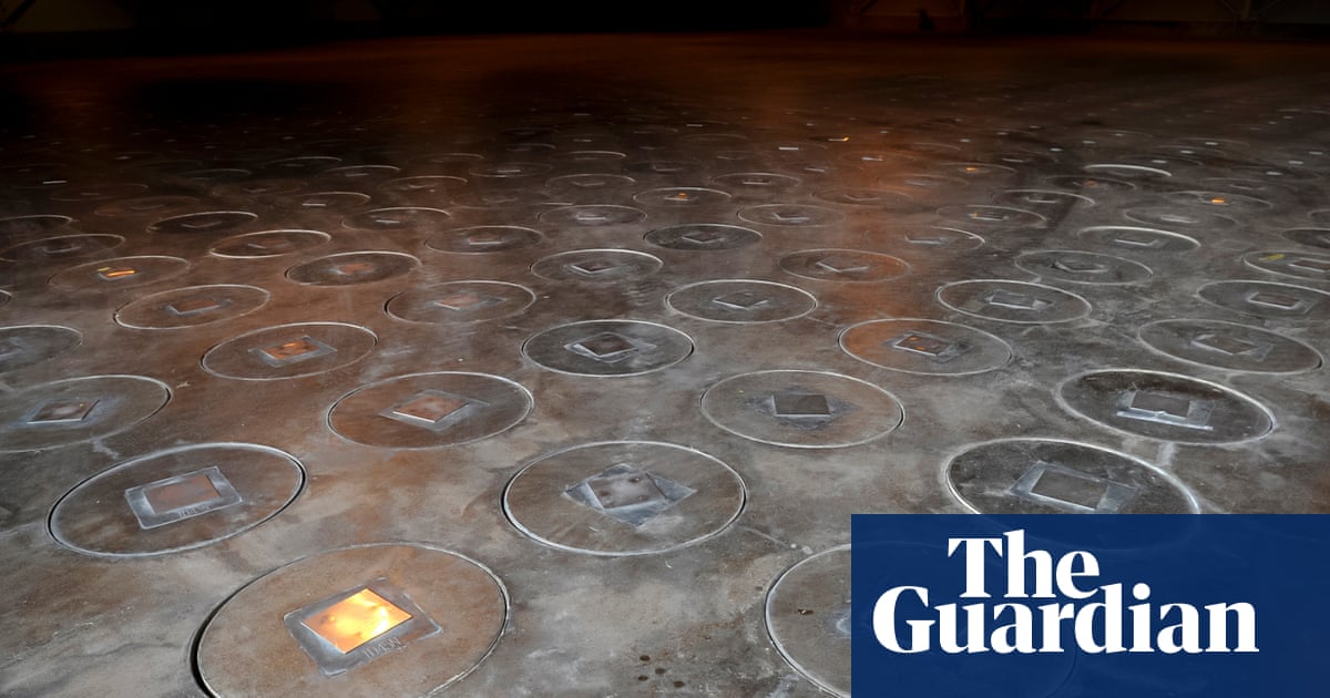 Radioactive wasps discovered at nuclear waste storage site in South Carolina | South Carolina