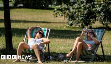 Climate change could see more trees in cities to tackle heatwaves