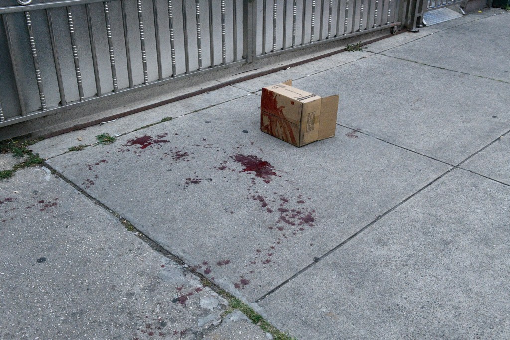 Blood stains and a cardboard box on a sidewalk.