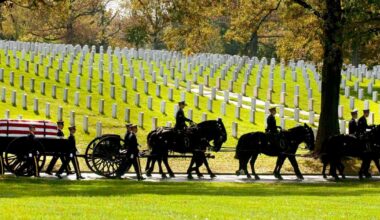 Army will end most of its ceremonial horse programs and adopt out the animals