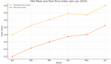 Pork Prices Help Push Global Meat Index to All-Time High - Swineweb.com
