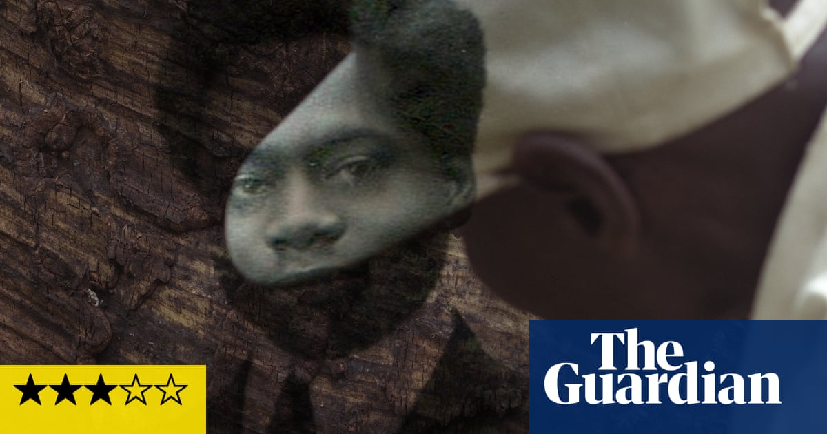 The Tree of Authenticity review – talking tree explains Congo’s struggle to overcome colonial past | Movies