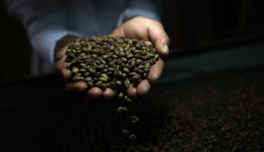 Coffee and cocoa could be exempt from tariffs in trade deals, commerce secretary says