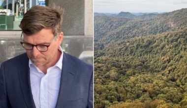 Commonwealth Bank executive Christopher James McCann found dead in Springbrook National Park