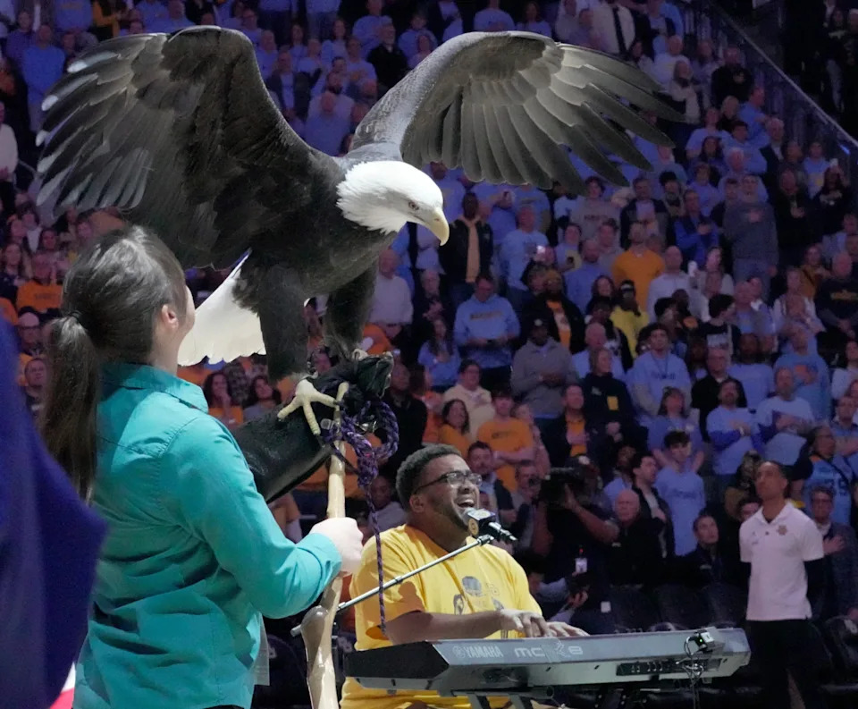 A bald eagle flaps its wing during the National Anthem before the Marquette-UConn basketball game.