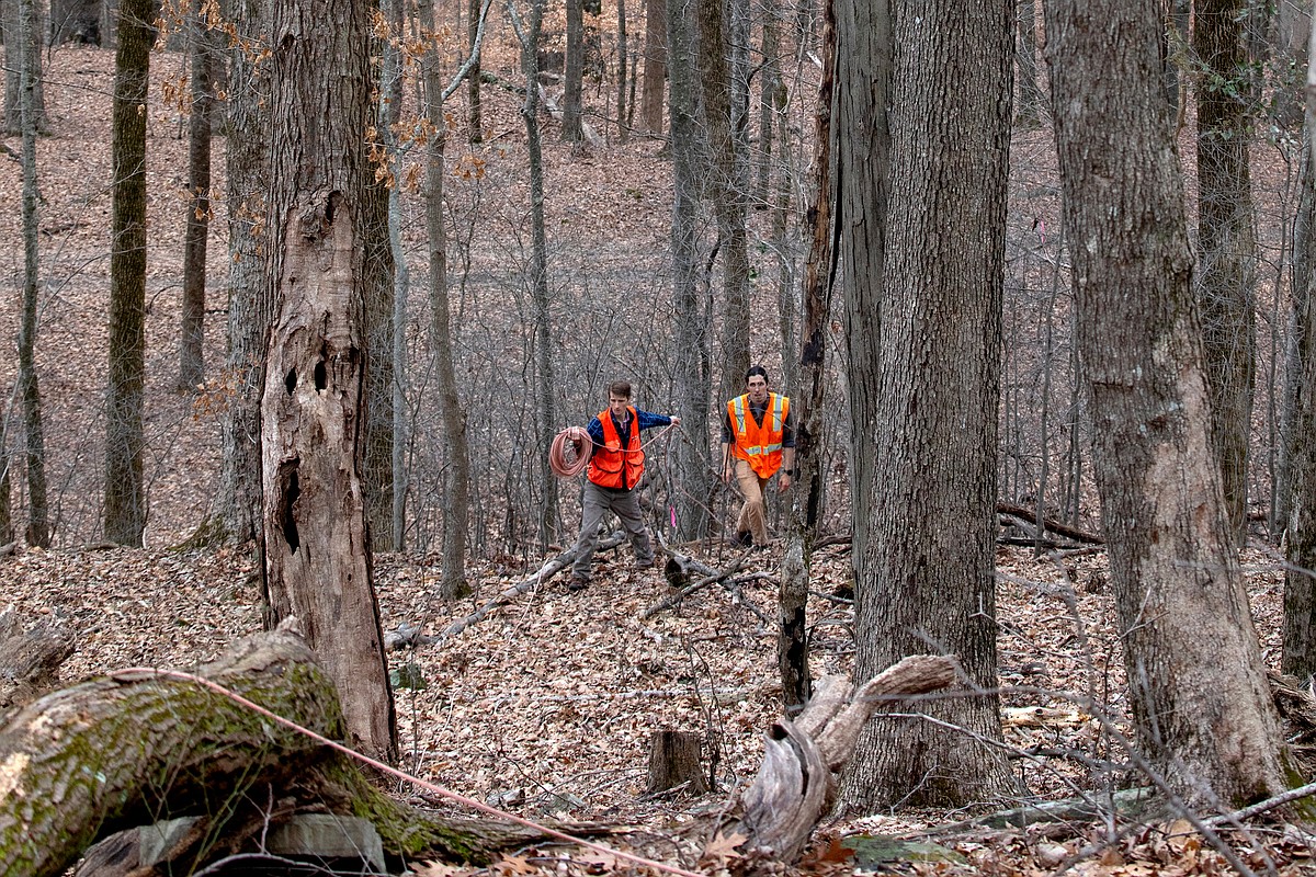 Alabama research center works to understand ‘one of the last great wild places’