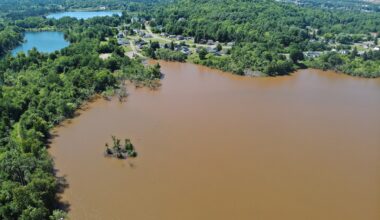 Crystal clear fishing lake turns red after beaver dam breach