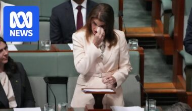 Chalmers, Ley in tears as France pays tribute to late son in first parliamentary speech