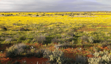 Remarkable 26-year change revealed on Aussie desert property