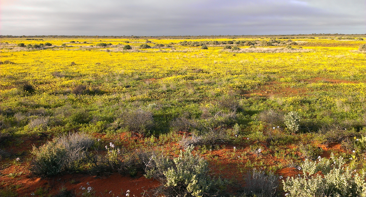 Remarkable 26-year change revealed on Aussie desert property