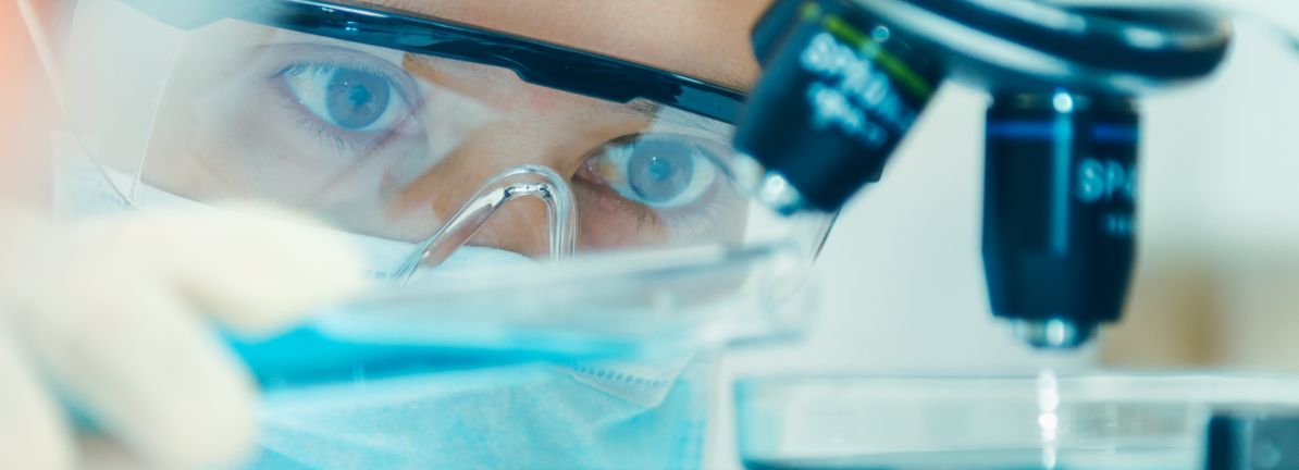 Exploring High Growth Tech Stocks In The US Market