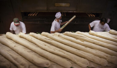 La Segunda still bakes bread according to family tradition • St Pete Catalyst